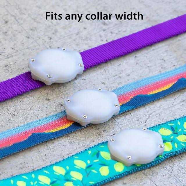Waterproof AirTag Dog Collar Mount H772